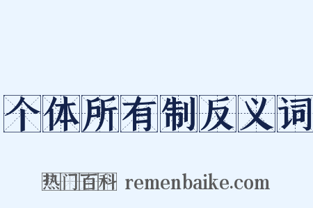 个体所有制反义词是什么意思的图片